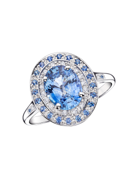 BAGUE SAINT HILAIRE DE LA MER